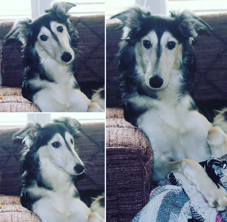 8360A650-F88D-41D9-AD2E-3F1B5880612D