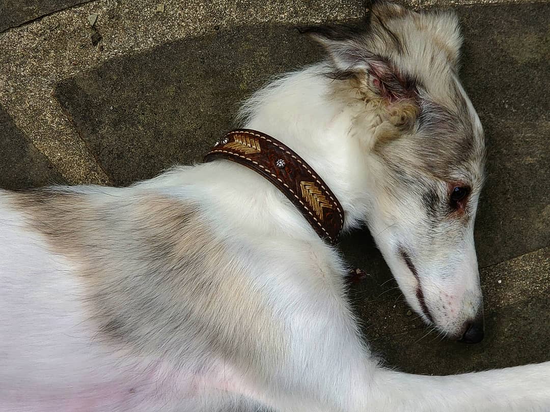 IMG_20190621_161848_336