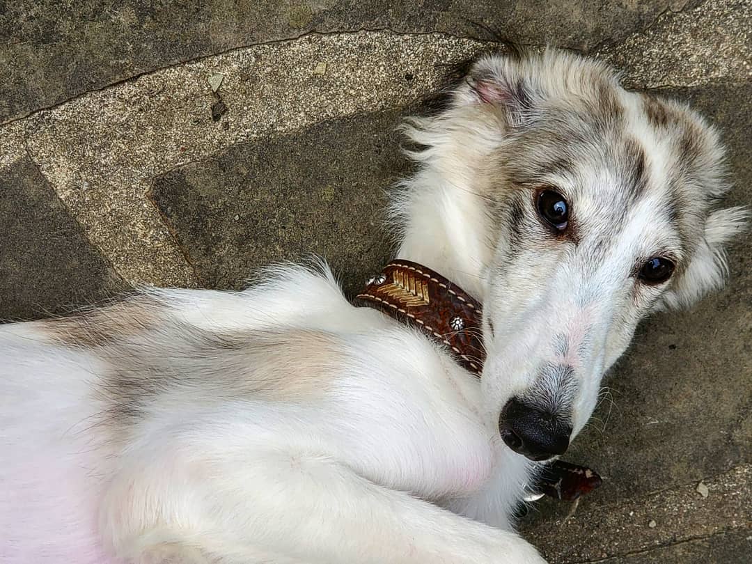 IMG_20190621_161848_337