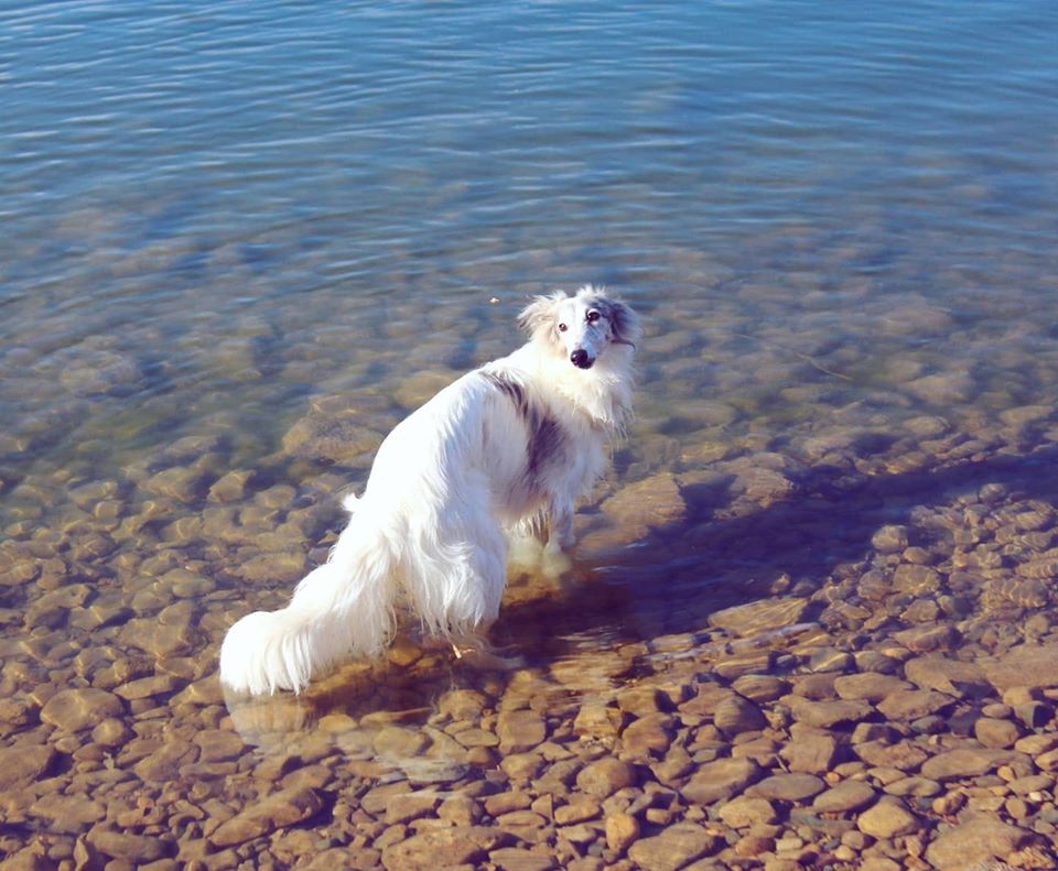 92445024_10100892774435088_9063477912027529216_o