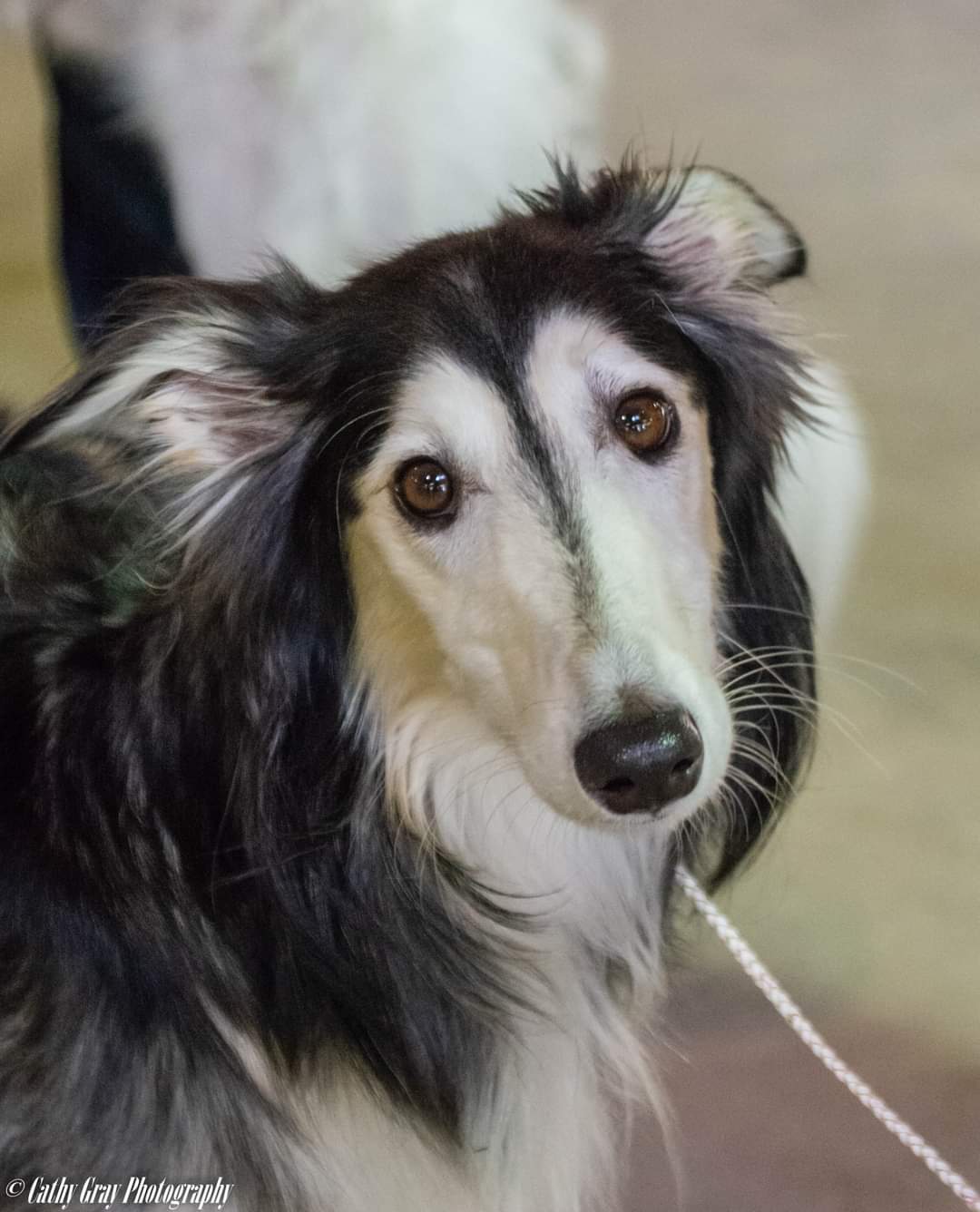 FB_IMG_1600788322747