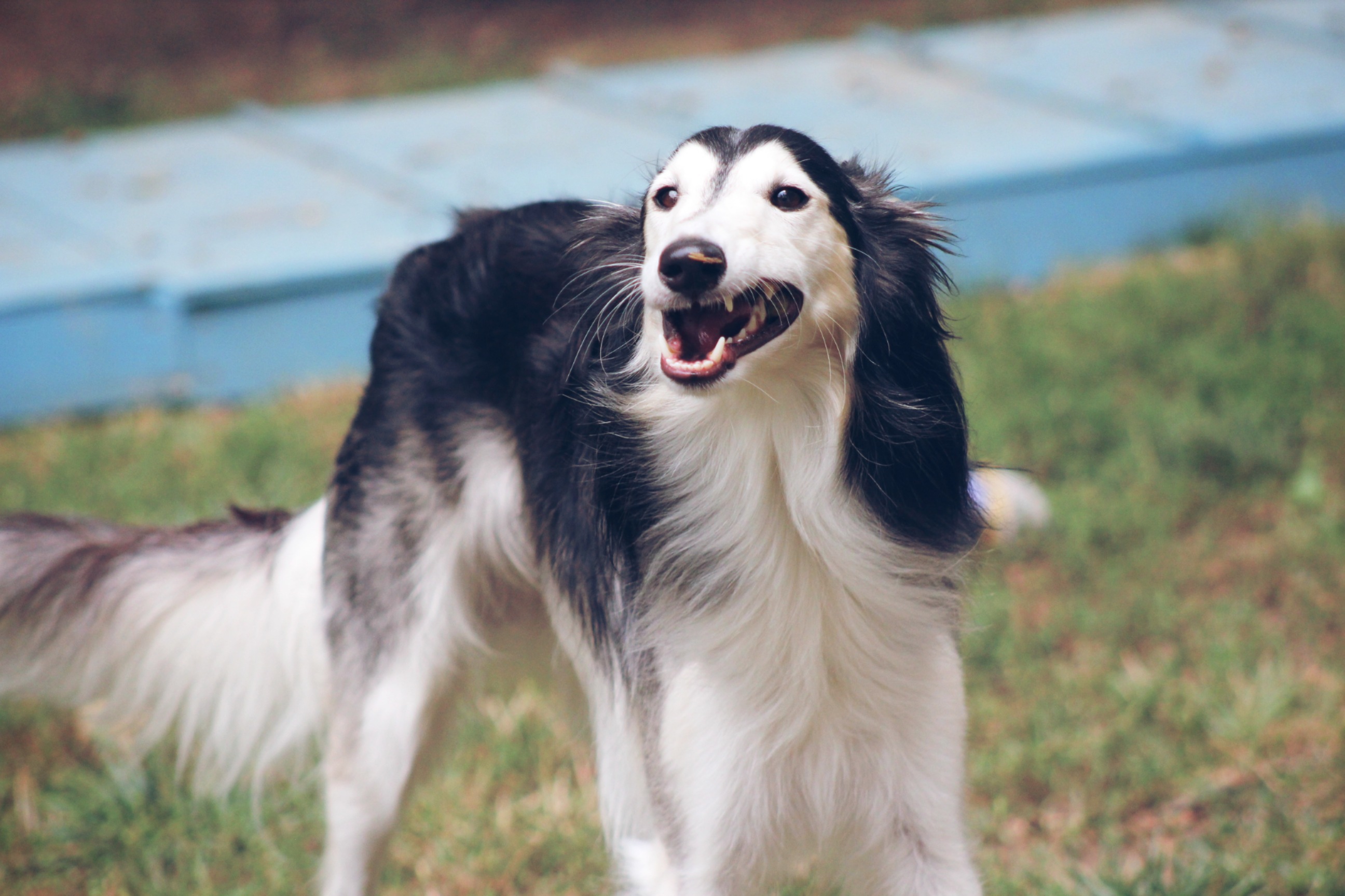 PicsArt_09-02-07.31.57